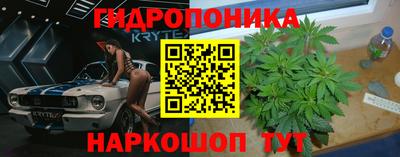 jwh Будённовск