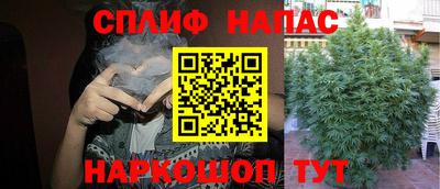 jwh Будённовск