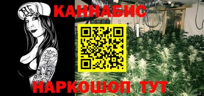 jwh Будённовск