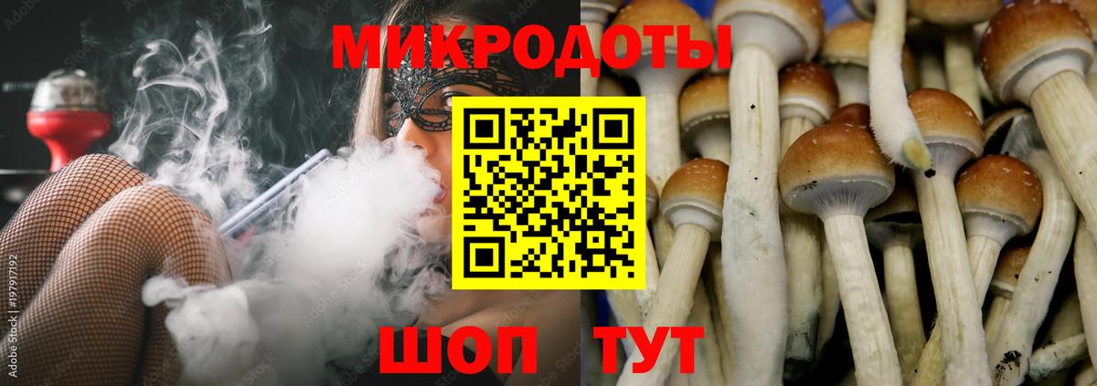 Туймазы  Псилоцибиновые грибы MAGIC MUSHROOMS  Вход с VPN 