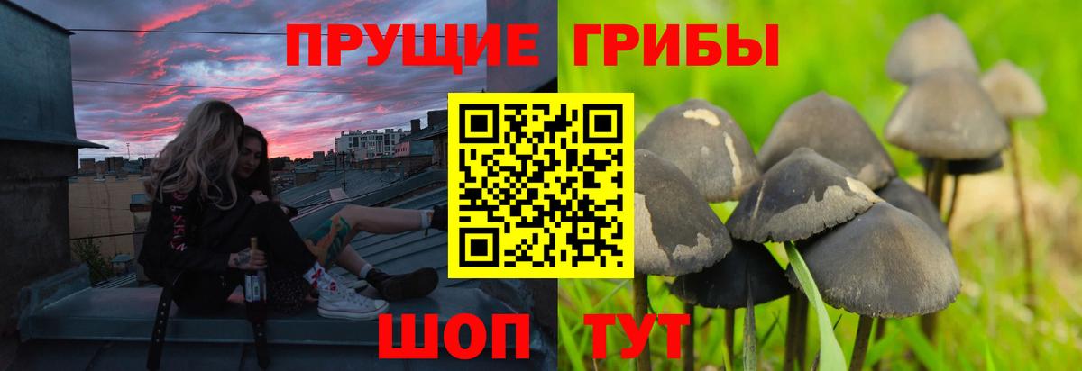 Псилоцибиновые грибы Psilocybine cubensis Туймазы
